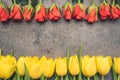 Flowers arranged on a climatic dark background. Royalty Free Stock Photo