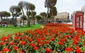 Flowers arrangement and roundabouts in Malta.