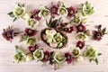 Flowers arrangement with white purple lenten roses and Easter eggs over light wood