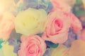 Flowers arrangements spring roses celebration bouquet pastel Royalty Free Stock Photo