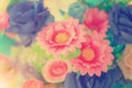 Flowers arrangements spring roses celebration bouquet pastel Royalty Free Stock Photo