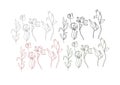 Flowers art illustration calligraphy line sketch hand drawn icon vector