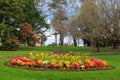 Flowers in Auckland Domain park, Auckland, New Zealand Royalty Free Stock Photo