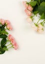 Flowers background. Bouquet of beautiful pink roses Royalty Free Stock Photo