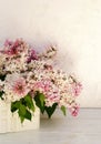 Flowers background. Bouquet of a branch of lilac spring flowers on a white wooden background. Royalty Free Stock Photo