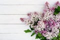 Flowers background. Bouquet of a branch of lilac spring flowers on a white wooden background. Royalty Free Stock Photo