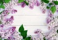 Flowers background. Bouquet of a branch of lilac spring flowers on a white wooden background. Royalty Free Stock Photo