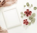 Flowers background composition. Photo frame mock up, dried flowers Royalty Free Stock Photo