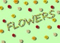 flowers background, creative spring design