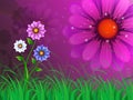 Flowers Background Means Garden Spring And Blooming