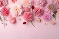 Flowers background pink tones with copy space Royalty Free Stock Photo