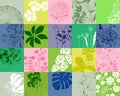 Flowers background.vector illustration Royalty Free Stock Photo