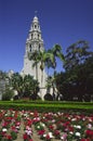 Flowers in Balboa Park, San Diego Royalty Free Stock Photo