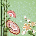 Flowers, bamboo, japanese fan and umbrella, green background. Royalty Free Stock Photo