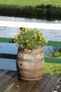 Flowers in a barrel