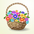 Flowers in a basket Royalty Free Stock Photo