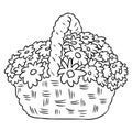 Flowers in a basket. Hand drawn image for coloring