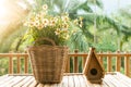 Flowers in basket and small bird house made of wood on a bamboo Royalty Free Stock Photo