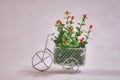 Flowers in a basket of a toy bike on a gray background Royalty Free Stock Photo