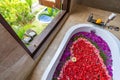 Flowers in Bathtub next to window Royalty Free Stock Photo
