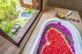 Flowers in Bathtub next to window Royalty Free Stock Photo