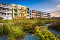 Flowers and beachfront buildings in Folly Beach, South Carolina. Royalty Free Stock Photo