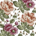 Flowers peonies asters pattern. Realistic isolated flowers. Vintage baroque background. Wallpaper. Drawing engraving. Royalty Free Stock Photo