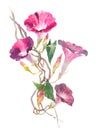 Flowers bells, bindweed, ivy painted white background with bright purple petals and green leaves watercolor illustration