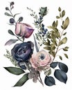 Flowers, berries and leaves watercolor illustration Royalty Free Stock Photo