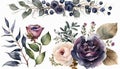 Flowers, berries and leaves watercolor illustration Royalty Free Stock Photo