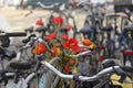 Flowers on bicycle in Amsterdam Royalty Free Stock Photo