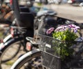 Flowers in the bicycle bin