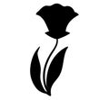 Flowers, black silhouette of a daffodil on a white, foliage elements Royalty Free Stock Photo