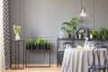Flowers On Black Table Next To Plants In Grey Dining Room Interior With Chairs And Lamp. Real Photo