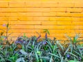 Flowers blends with painted brick wall Royalty Free Stock Photo