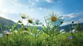 Aster In A Bright Green Field: Nature-inspired Imagery With Realistic Rendering