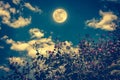 Flowers blooming against night sky and clouds with full moon. Cr Royalty Free Stock Photo