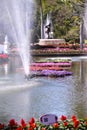 Flowers blooming decorative in bamboo raft patterns and fountain pond view background at Buak Hard Public Park, Chiang Mai,