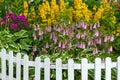 Flowers blooming on flowerbed framed with small white fence, backyard plot arrangement