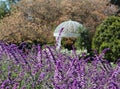 Flowers Blooming Near a Gazebo at the South Coast Botanic Garden, Palos Verdes Peninsula, Los Angeles County, California Royalty Free Stock Photo