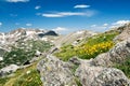 Flowers Blooming in Summer Mountains Landscape Royalty Free Stock Photo