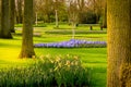 flowers blossom in keukenhof garden, netherlands Royalty Free Stock Photo