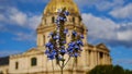 Flowers with blue blossom in front of historic Les Invalides cathedral in Paris, France. Royalty Free Stock Photo