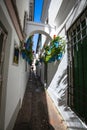 Flowers in blue flowerpot on the walls on streets of Cordoba. Sp Royalty Free Stock Photo