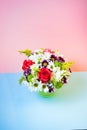 Flowers on blue and pink background Royalty Free Stock Photo