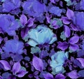 Flowers blue velvet Watercolor oil painting textured seamless background