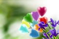 flowers on a blurry green background and a flying butterfly and a branch of a blossoming cherry tree