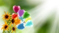 flowers on a blurry green background and a flying butterfly and a branch of a blossoming cherry tree Royalty Free Stock Photo