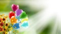 flowers on a blurry green background and a flying butterfly and a branch of a blossoming cherry tree Royalty Free Stock Photo