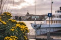 Flowers with boat in background switzerland geneva